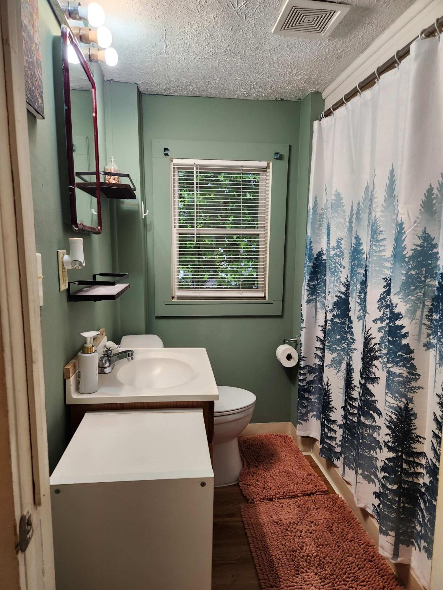 Cozy 3 Bedroom House In Downtown 이타카 외부 사진